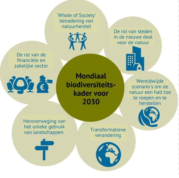 Global Biological Diversity Meeting