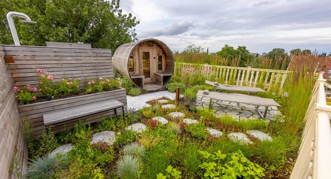 From Starter Kits to Thriving Rooftops